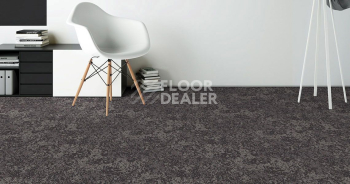 Standard Carpets Sky Gardens 547 фото 2 | FLOORDEALER